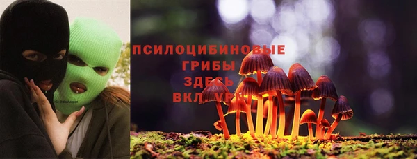 стафф Алексеевка