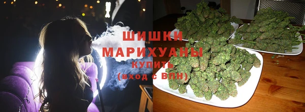 трава Аркадак