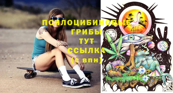стафф Алексеевка