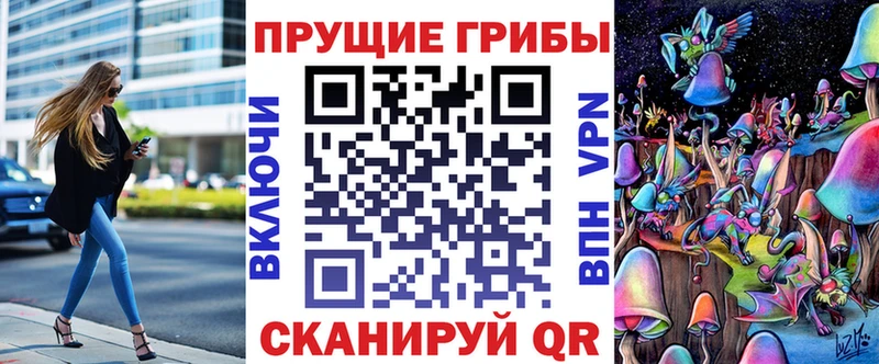 Галлюциногенные грибы Psilocybine cubensis хочу наркоту Новороссийск
